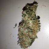 Amnesia - Image 3