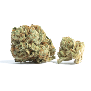 https://greenstudioonline.com/wp-content/uploads/2024/07/cherrylato-300x300.png