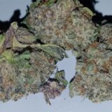 Larry OG - Image 4