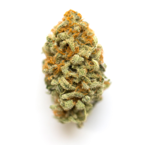 https://greenstudioonline.com/wp-content/uploads/2024/07/malibu-marsha-300x300.png