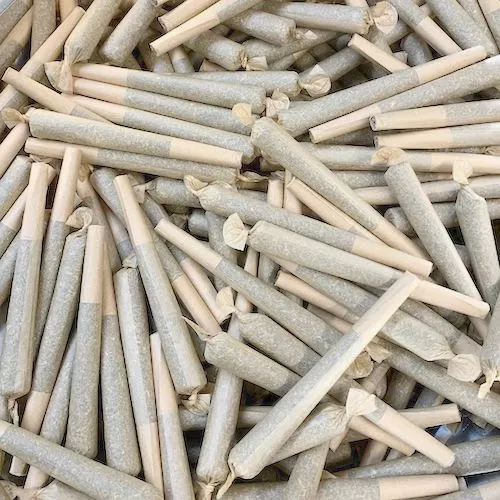 https://greenstudioonline.com/wp-content/uploads/2024/08/prerolls_category.webp