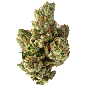 https://greenstudioonline.com/wp-content/uploads/2024/09/GbuhcPX9TW6tyS0rIOMH_SFVOG-300x300.png