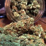 Alien kush - Image 3