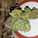 Alien kush - Image 2