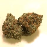 Animal cookies - Image 2