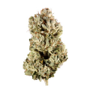 https://greenstudioonline.com/wp-content/uploads/2024/09/gg-4-300x300.jpg