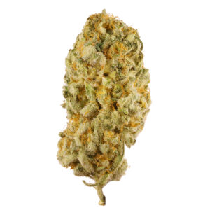 https://greenstudioonline.com/wp-content/uploads/2024/09/jack-herer-300x300.jpg