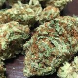 Larry OG - Image 2
