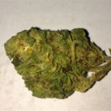 Lemon haze - Image 3