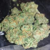 Lemon haze - Image 2