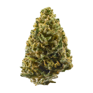 https://greenstudioonline.com/wp-content/uploads/2024/09/northern-lights-300x300.png