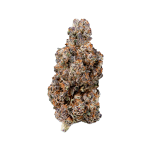 https://greenstudioonline.com/wp-content/uploads/2024/09/ourxFWWTGEwdtK7T6Qtu_Dior-Nug-01-Daniel-Peterson-1-300x300.png