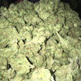 SFV OG - Image 2