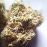 Skywalker OG - Image 3