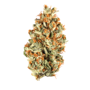 https://greenstudioonline.com/wp-content/uploads/2024/09/strain-1-300x300.png