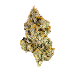 https://greenstudioonline.com/wp-content/uploads/2024/09/strain-40-300x300.png