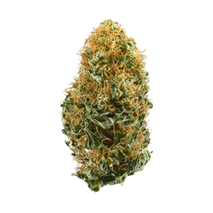 https://greenstudioonline.com/wp-content/uploads/2024/09/white-widow-300x300.png