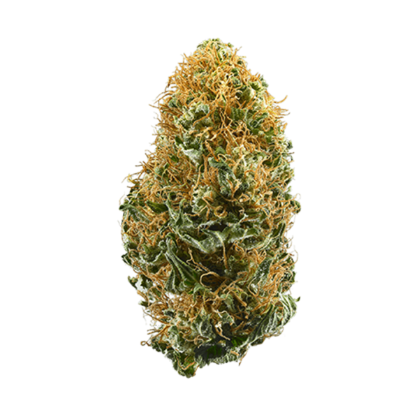 White widow
