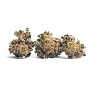https://greenstudioonline.com/wp-content/uploads/2024/09/xpdL6Nq9SGu0zjD2aNQf_ANIMAL-COOKIES-337-edited-300x300.jpg